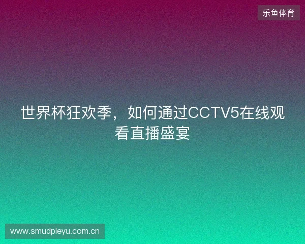世界杯狂欢季，如何通过CCTV5在线观看直播盛宴