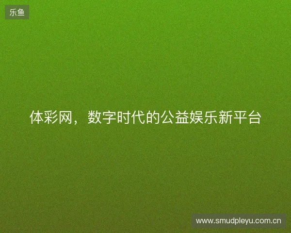 体彩网，数字时代的公益娱乐新平台